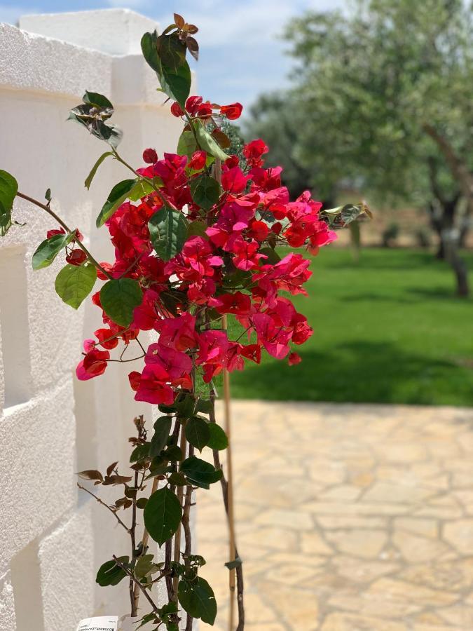 L'Ulivo Bed And Breakfast Savelletri Bagian luar foto