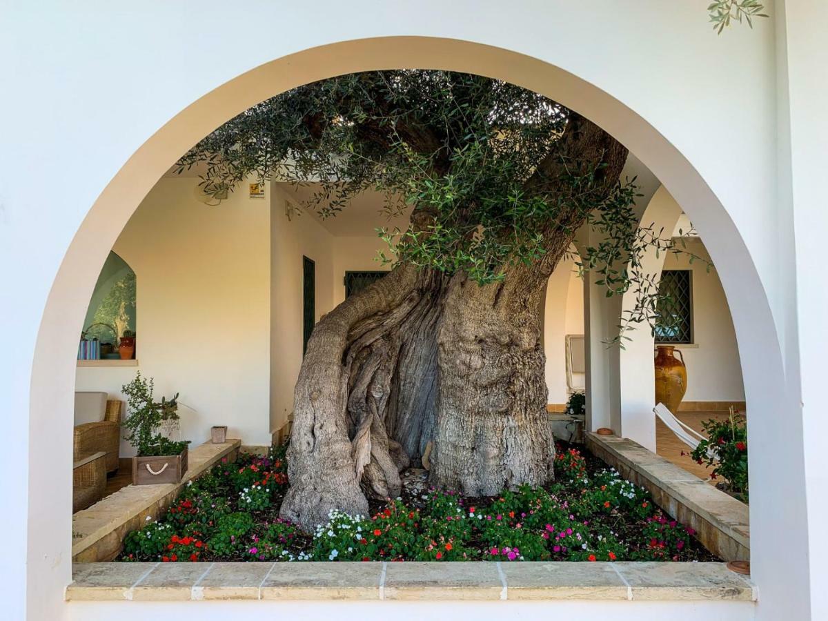 L'Ulivo Bed And Breakfast Savelletri Bagian luar foto